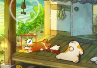 字由如何修改手机号？字由修改手机号的方法